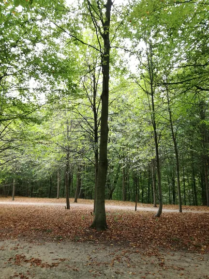 Gaasbeek + Kasteel van Gaasbeek (Lennik, België)